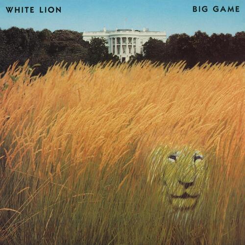 white lion   big game